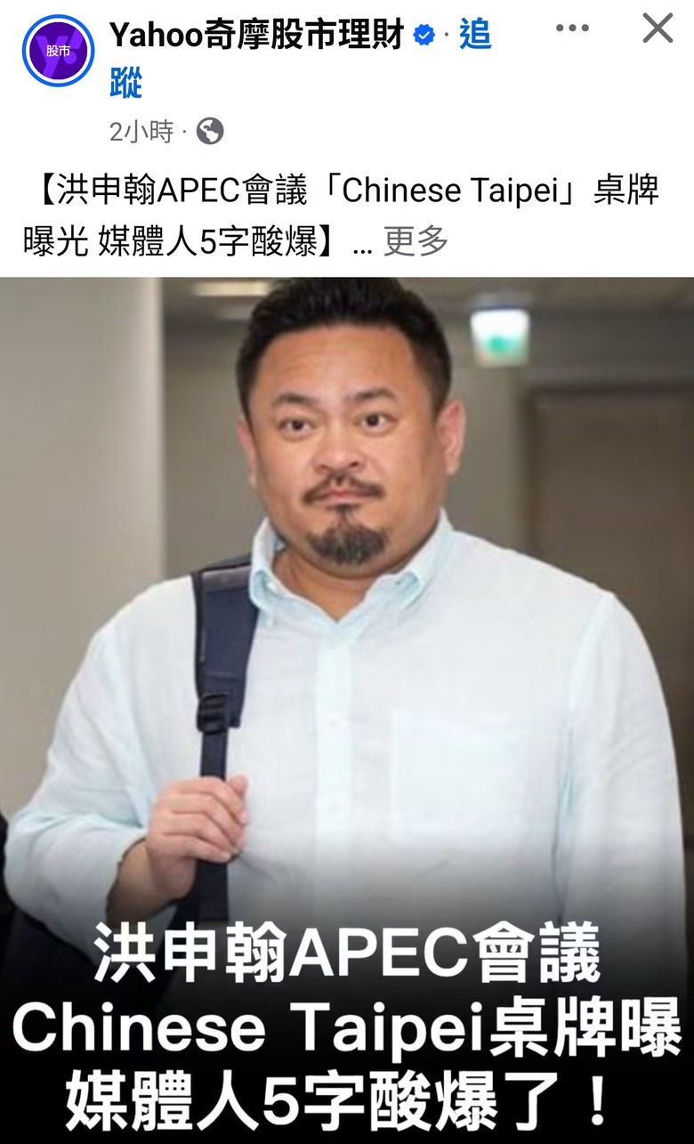 綠營民代 無人批判APEC使用Chinese Taipei