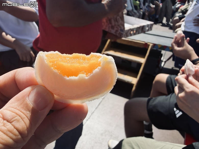 葡萄牙之夏 2026 團體十天北進南出