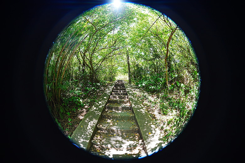Sony FE 8-14mm F3.5 Fisheye G 評測報告｜314g 輕巧便攜！圓形與對角魚眼「雙視角通吃」