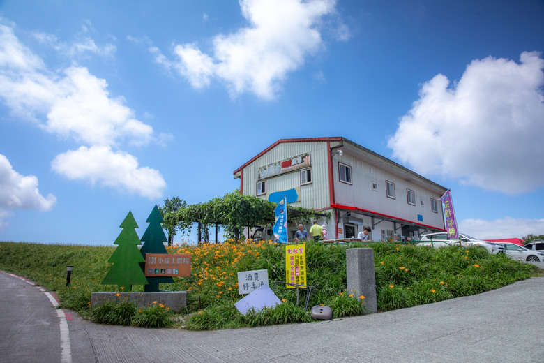 熱血一日暢遊赤柯山與六十石山金針花海美景