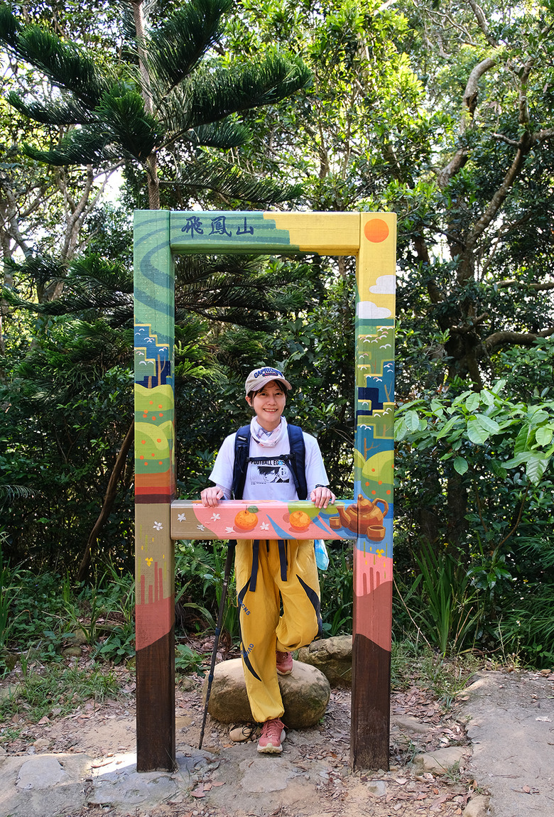 點我看大圖 【新竹飛鳳山】石壁潭山・中坑山・少見美麗大板根樹