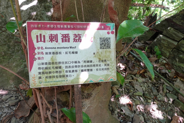 花蓮得吉利部落文化探索體驗遊程活動,壽豐享用美食二日遊