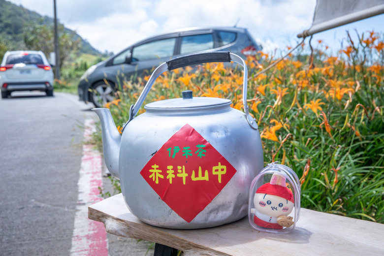 熱血一日暢遊赤柯山與六十石山金針花海美景