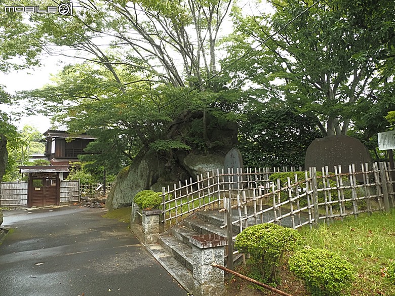 松島遊船、松島町 觀瀾亭、瑞巖寺、五大堂、仙台市中心(AER 展望テラス、ハビナ名掛丁),附掛美食之牛たん炭焼利久與一蘭拉麵,還有團客必訪的光伸真珠 — 2026夏末日本東北4日員旅之二【宮城県篇】