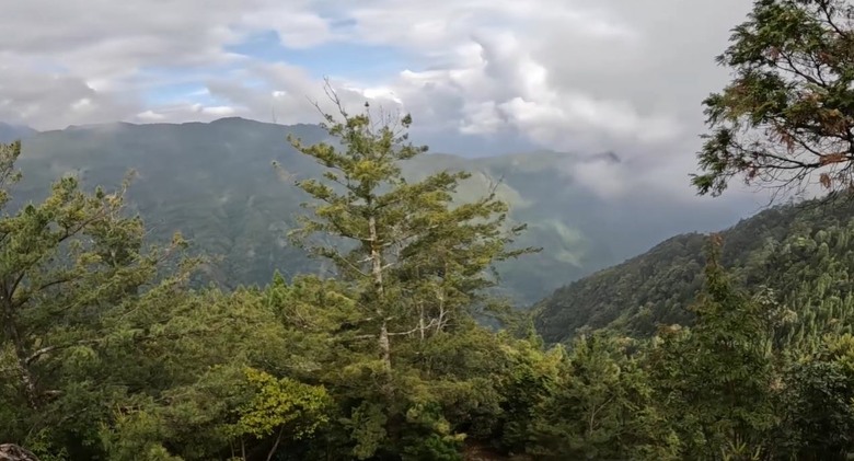 【谷關七雄】單日「蝶夢八唐」到底多硬？走完蝴蝶谷，經過夢幻谷，以為陡完八仙山就解脫？