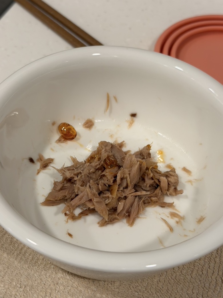 分享貓咪餵藥的幾個方式（安適得）