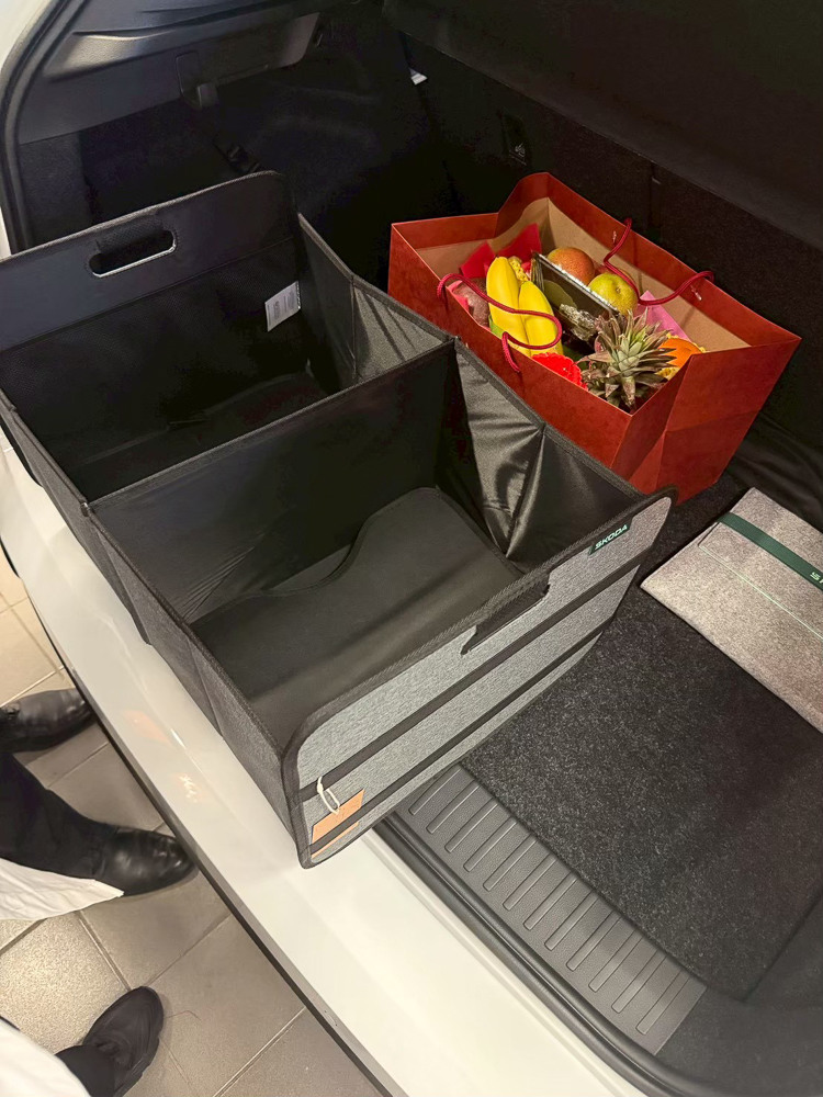 最後我們選擇了 Skoda Kamiq 1.0，請多多指教!!
