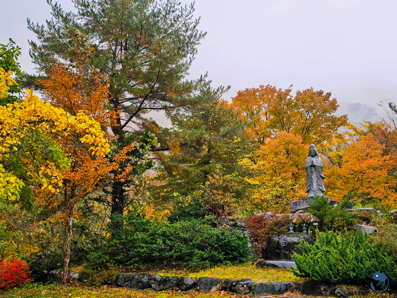 點我看大圖 日本-岐阜大野|*山崩之前 雲歸無人* 幻之歸雲城 幻の帰雲城