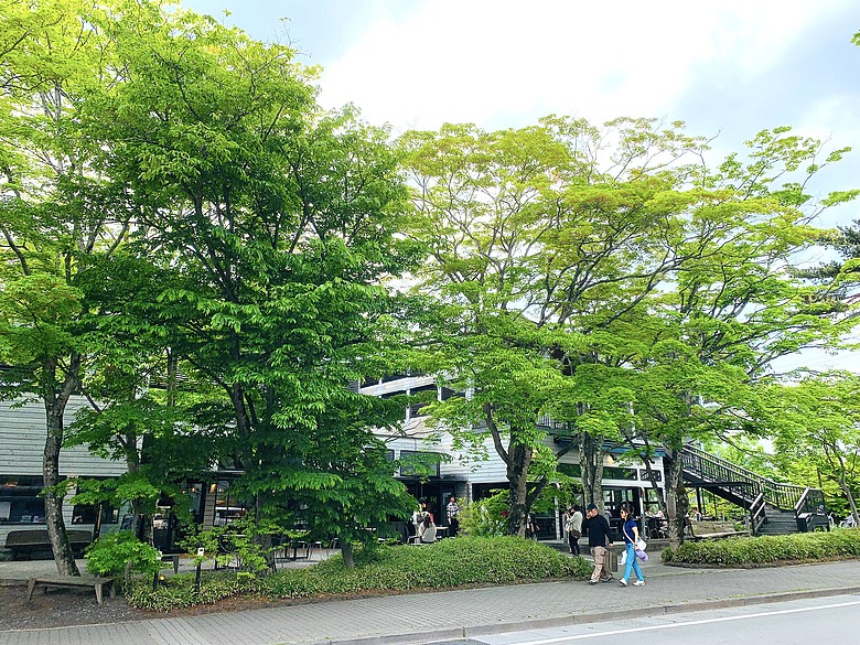 點我看大圖 <日本>2024~輕井澤咖啡廳探索、夏的雲場池、舊銀座通逛不停(果醬、限定美食⋯⋯)