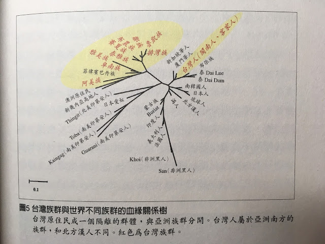台灣近90%都是南島平埔血統~是4億南島人的起源,為何卻說漢語?