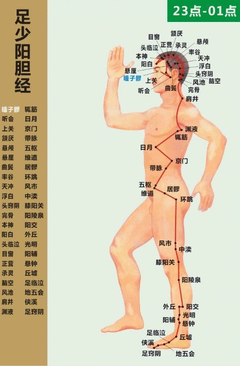 肚子腹脹吃一點就很撐的另一種原因
