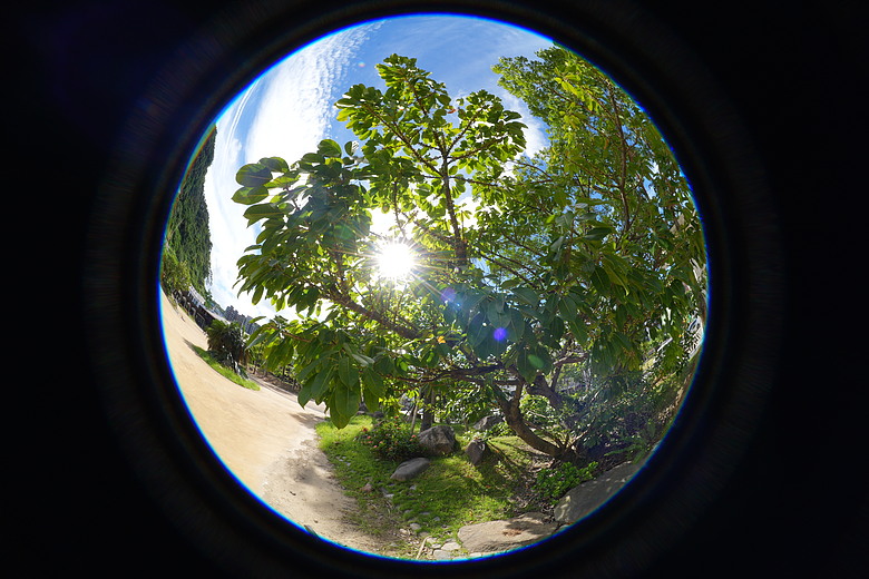 Sony FE 8-14mm F3.5 Fisheye G 評測報告｜314g 輕巧便攜！圓形與對角魚眼「雙視角通吃」