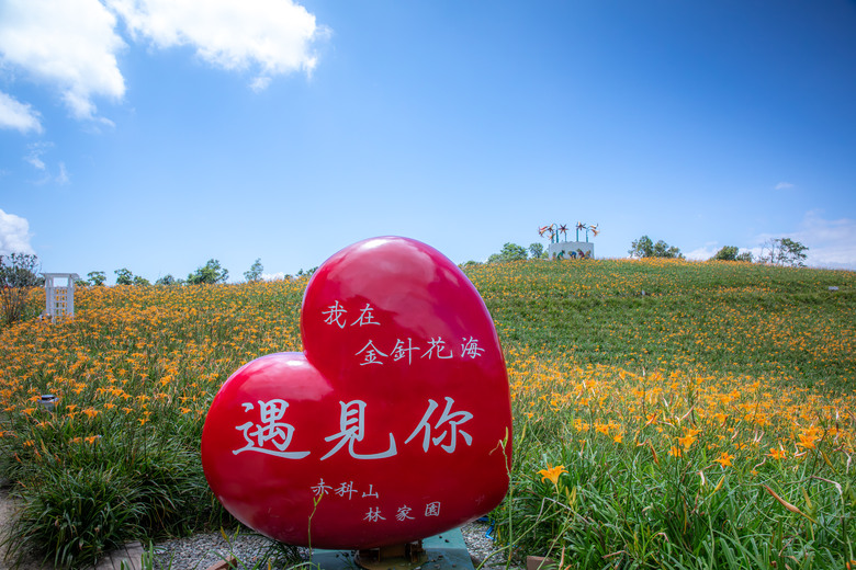 熱血一日暢遊赤柯山與六十石山金針花海美景