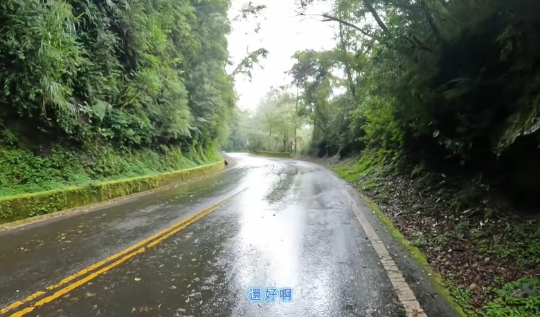 【2026 梅塔好行】挑戰直上塔塔加！55公里陡升2200公尺，從梅子夢工廠一路榨乾腿力！