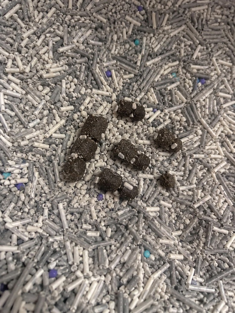 當媽後真的很怕補不夠…腸胃粉+化毛粉分享!