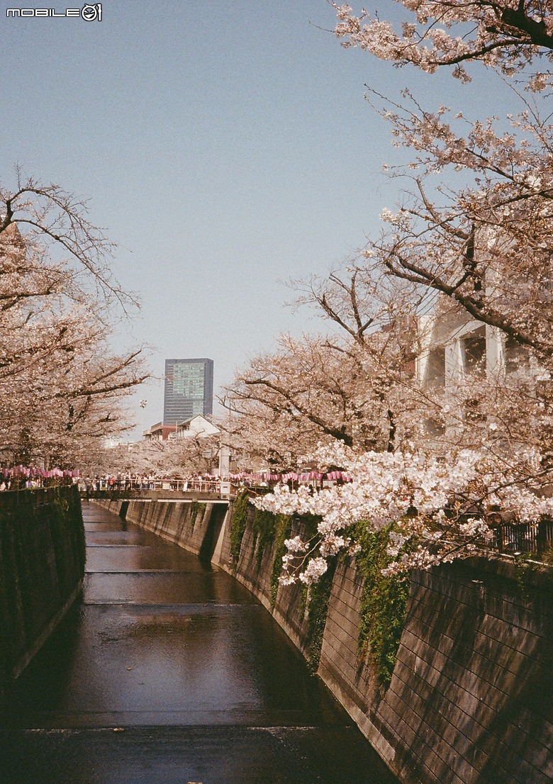 Pentax 17 旅行分享 - 2026 3月 Tokyo