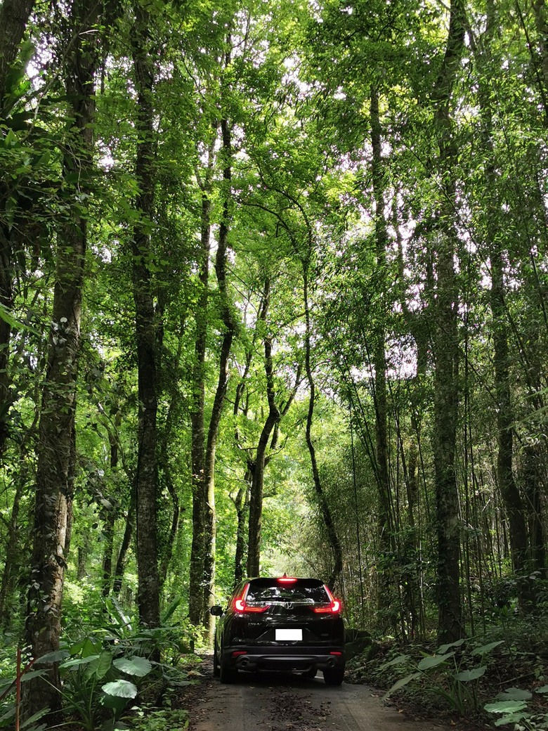 CR-V 5 關箱文