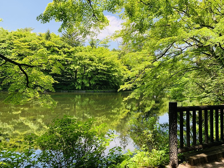 點我看大圖 <日本>2024~輕井澤咖啡廳探索、夏的雲場池、舊銀座通逛不停(果醬、限定美食⋯⋯)