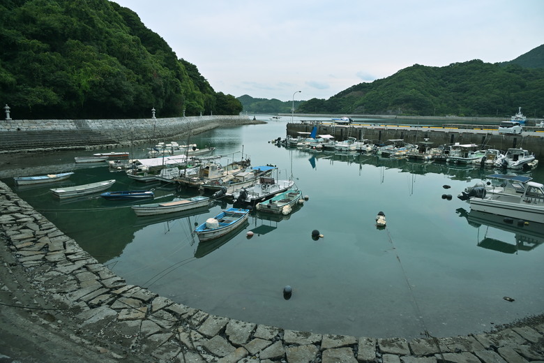 ZF 環瀨戶內海