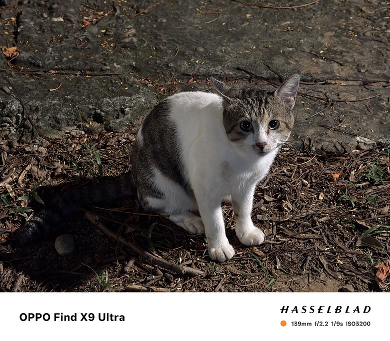 點我看大圖 OPPO Find X9 Ultra 短時間拍攝的實拍分享