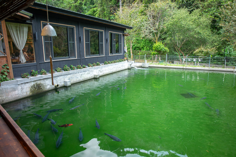 點我看大圖 南投療癒一日遊:有山水、有秘境,還有吃不停的在地美食!