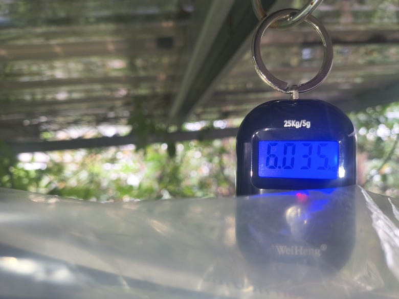 再組台超輕451折疊車
