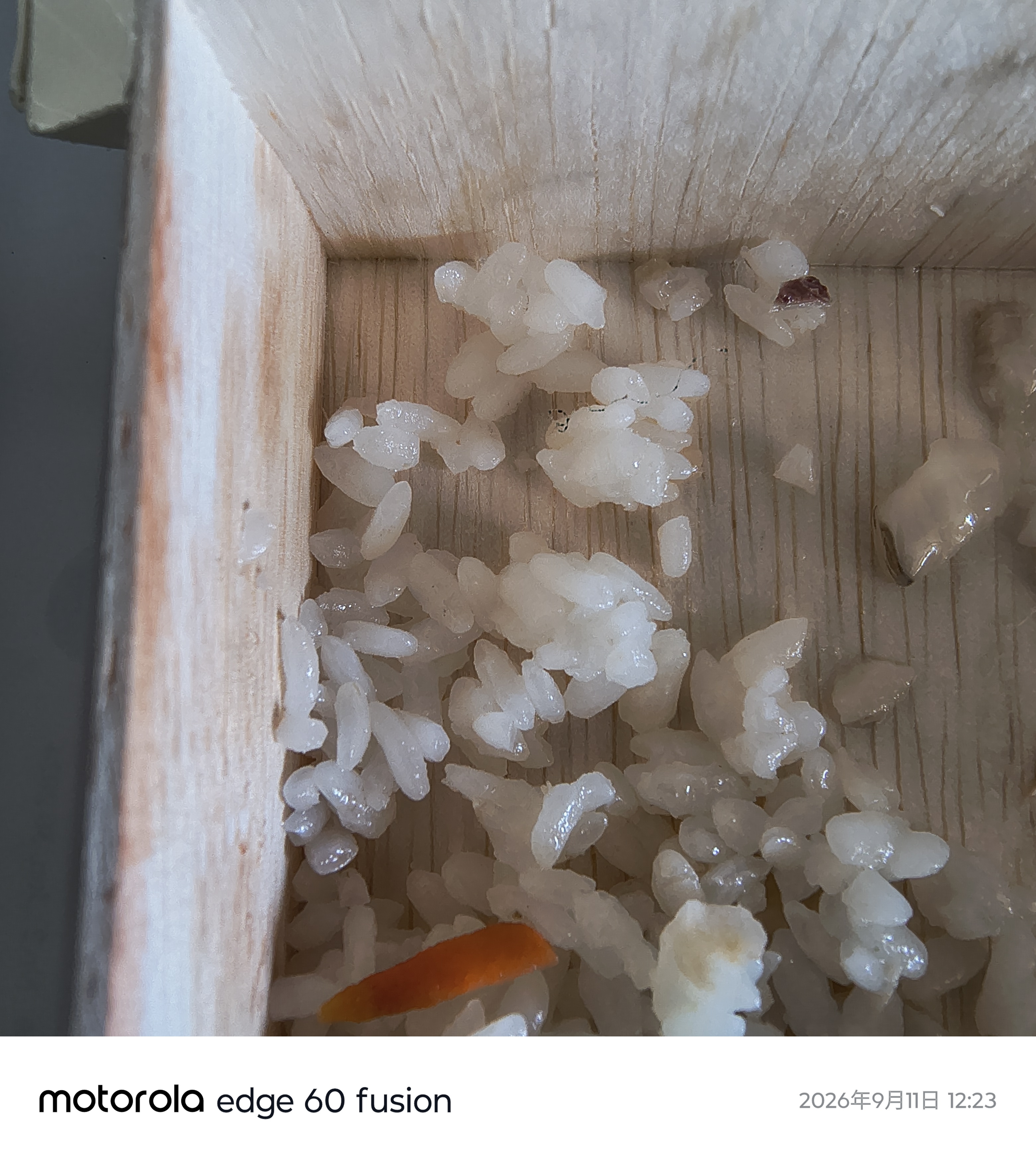 ［記事］1.團膳 訂購飯盒異物