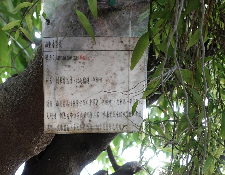 花蓮得吉利部落文化探索體驗遊程活動,壽豐享用美食二日遊