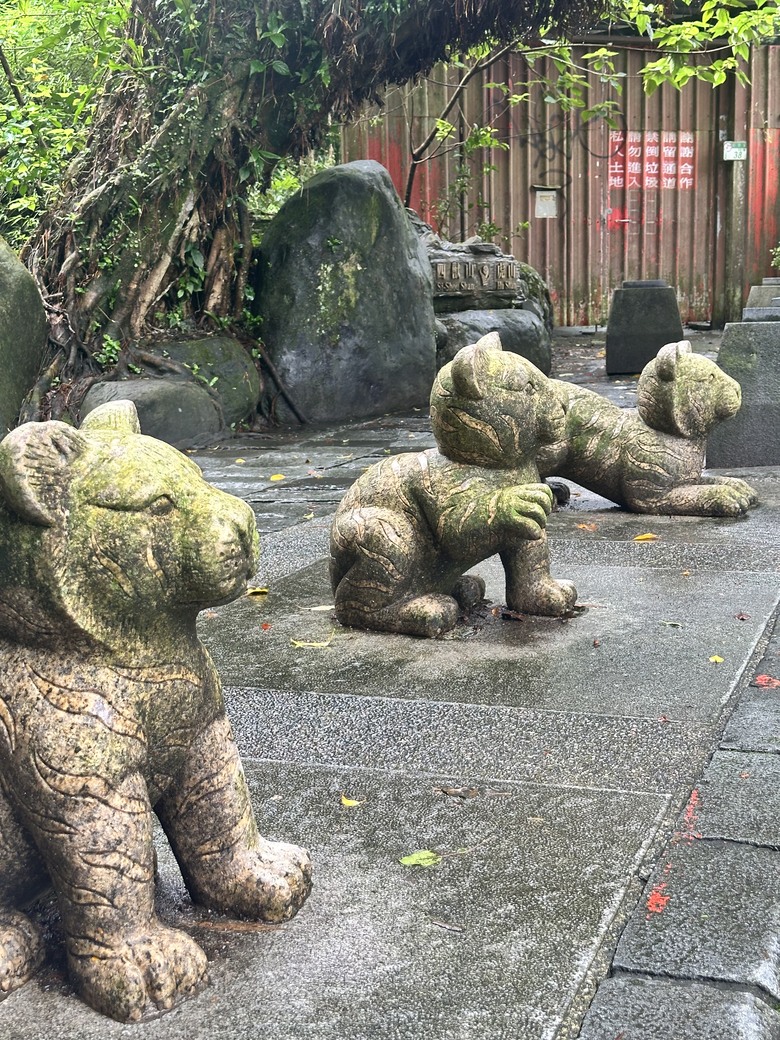 台北森林秘境 ｜ 虎山生態步道