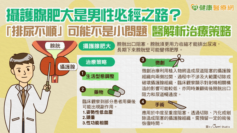 點我看大圖 攝護腺肥大是男性必經之路?「排尿不順」可能不是小問題醫解析治療策略