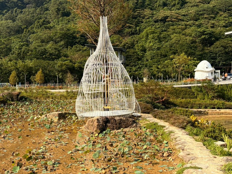 遠離城市喧囂｜走進山林秘境，享受療癒自然好時光
