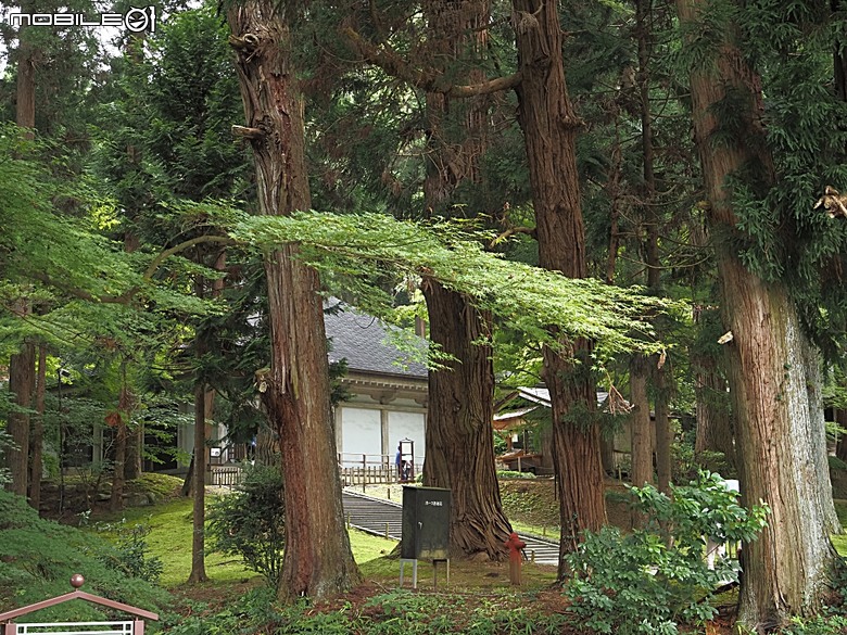 由利高原鐵道 鳥海山麓線、秋田故里村、秋田市民俗藝能傳承館、平泉中尊寺、秋田AEON購物中心，還有旅行社主打的燒肉吃到飽 — 2026夏末日本東北4日員旅之三【秋田県+岩手県篇】