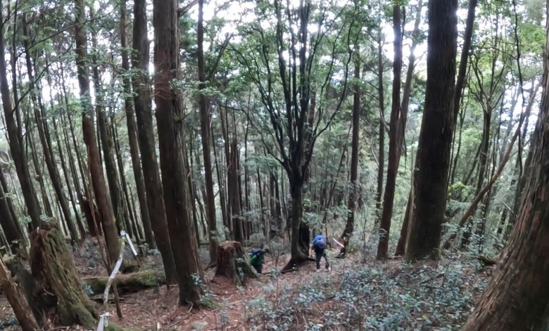 【谷關七雄】單日「蝶夢八唐」到底多硬？走完蝴蝶谷，經過夢幻谷，以為陡完八仙山就解脫？