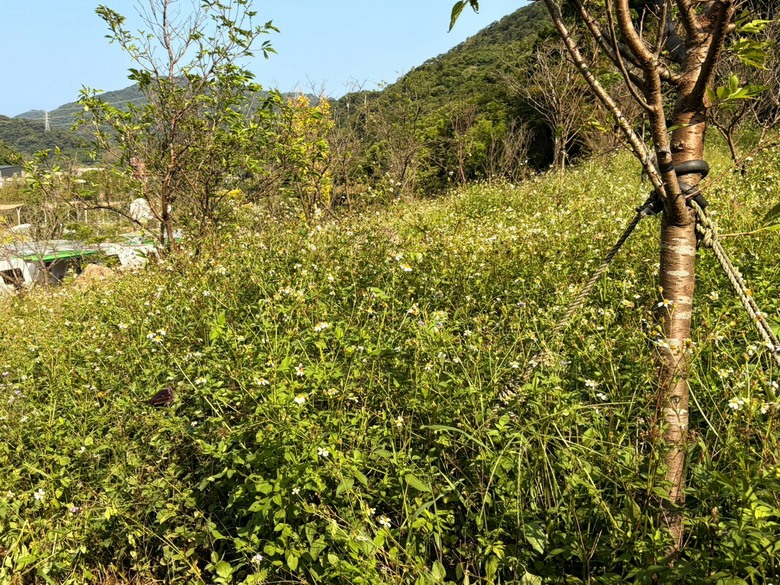遠離城市喧囂｜走進山林秘境，享受療癒自然好時光