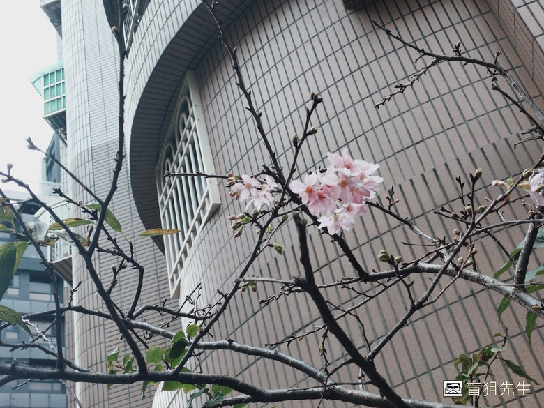 點我看大圖