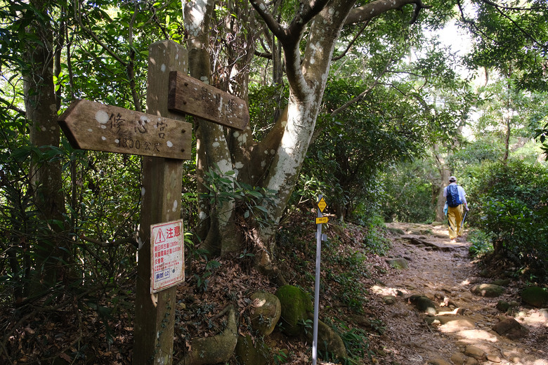 點我看大圖 【新竹飛鳳山】石壁潭山・中坑山・少見美麗大板根樹