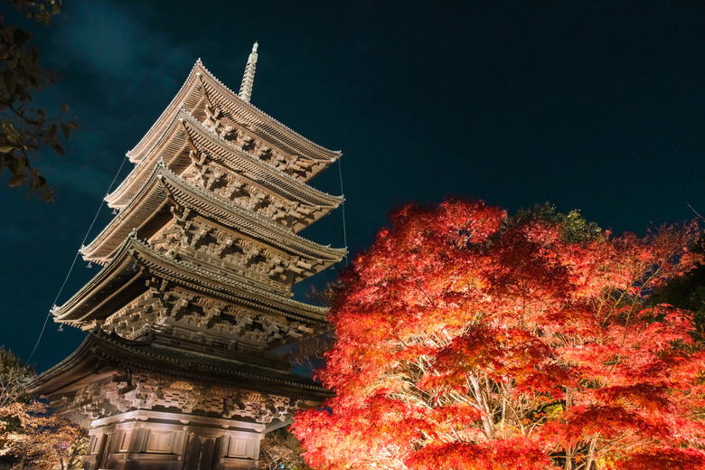 點我看大圖 京都九天八夜分享-超級充實的賞楓之旅