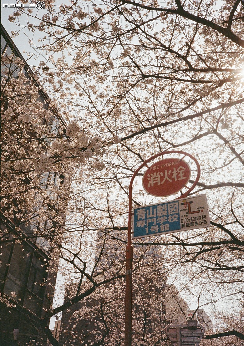 Pentax 17 旅行分享 - 2026 3月 Tokyo