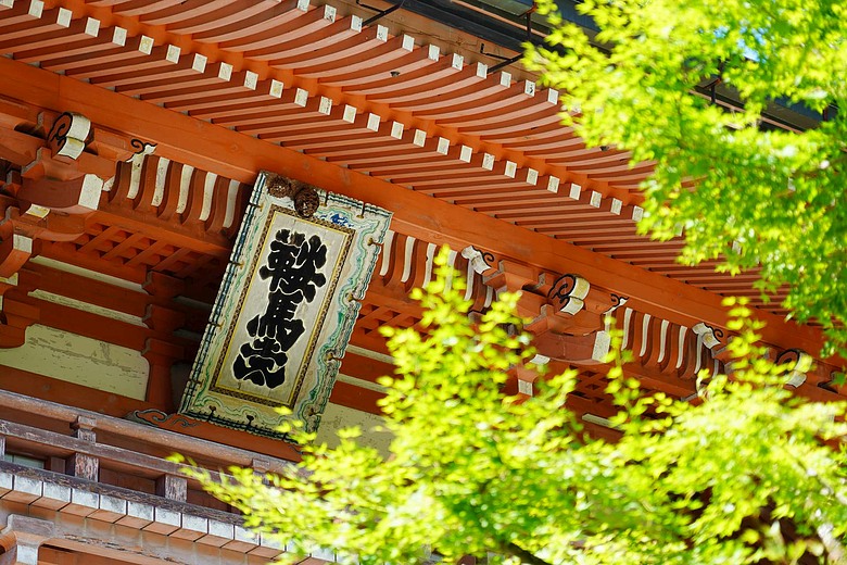 點我看大圖 夏天的京阪神旅行(下)