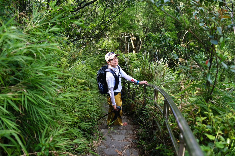點我看大圖 【新竹飛鳳山】石壁潭山・中坑山・少見美麗大板根樹