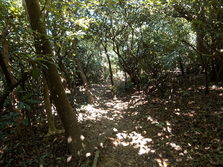 點我看大圖 基隆後山秘境散步:槓子寮砲台與步道 (TG-7 + Insta360 Luna Ultra 實拍)