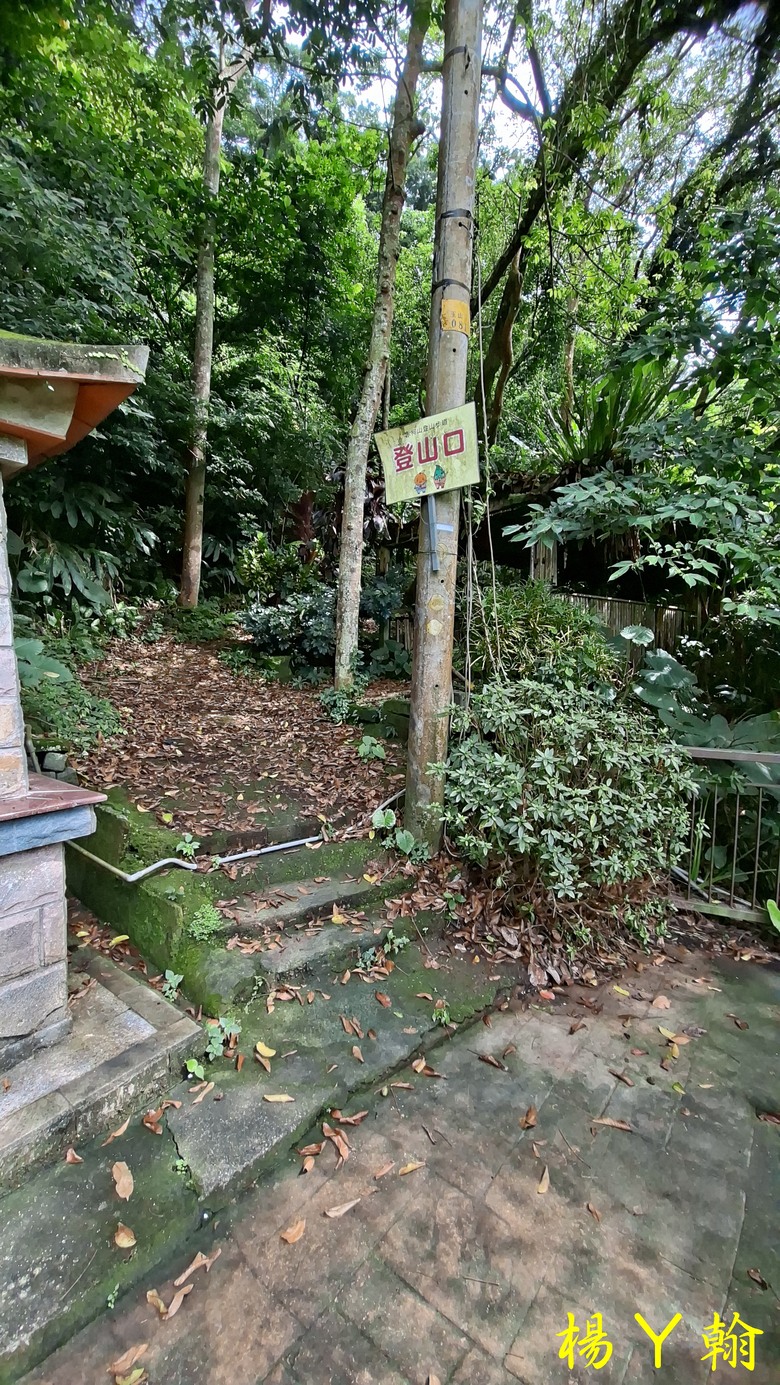 【森遊竹縣】新竹也有赤柯山？ 關西赤柯山、東獅頭山步道，山林中挑戰好漢坡