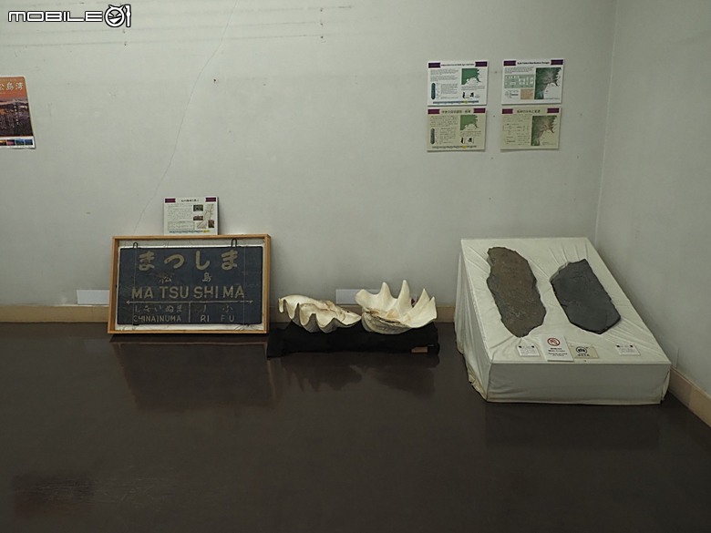 松島遊船、松島町 觀瀾亭、瑞巖寺、五大堂、仙台市中心(AER 展望テラス、ハビナ名掛丁),附掛美食之牛たん炭焼利久與一蘭拉麵,還有團客必訪的光伸真珠 — 2026夏末日本東北4日員旅之二【宮城県篇】