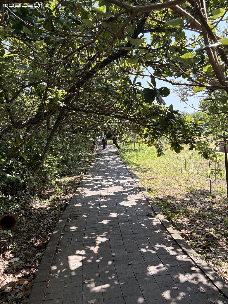 【北海岸親子踏青】走到台灣最北端上了一堂戶外課｜富貴角公園、老梅迷宮、綠石槽與富貴角燈塔