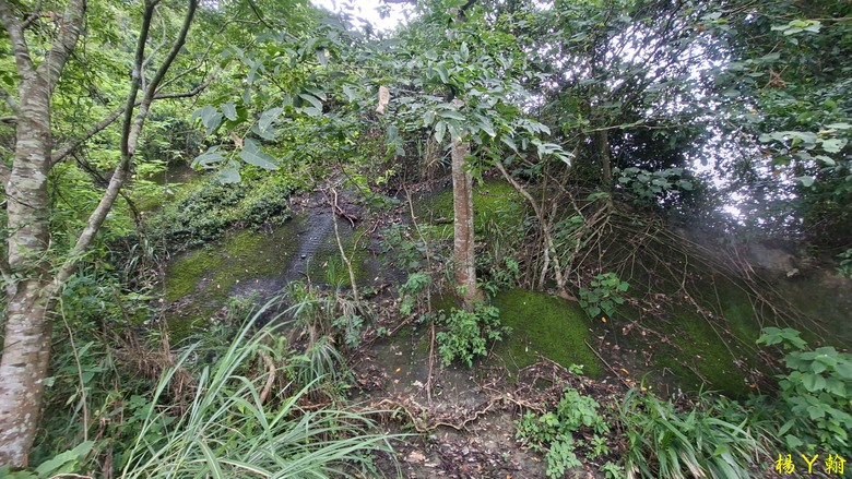 【森遊竹縣】新竹也有赤柯山？ 關西赤柯山、東獅頭山步道，山林中挑戰好漢坡