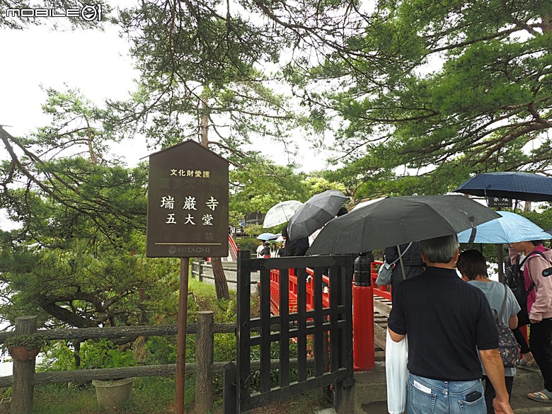 松島遊船、松島町 觀瀾亭、瑞巖寺、五大堂、仙台市中心(AER 展望テラス、ハビナ名掛丁),附掛美食之牛たん炭焼利久與一蘭拉麵,還有團客必訪的光伸真珠 — 2026夏末日本東北4日員旅之二【宮城県篇】