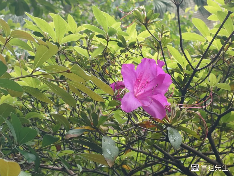 點我看大圖