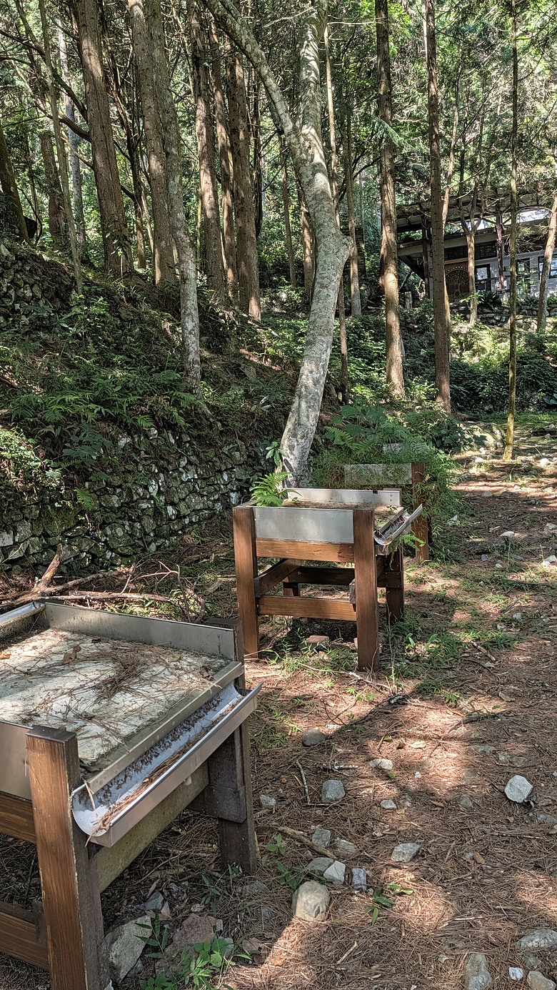 台中谷關二日遊(捎來步道、東豐綠色隧道、仙山森林遊樂區、半山夢工廠)