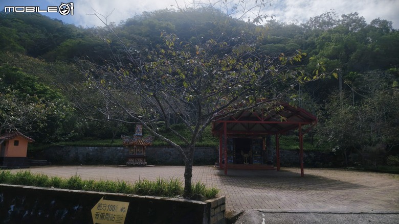 台東小布遊記 | 太麻里金針山 | 說好的金針花呢
