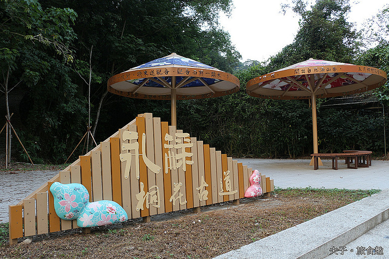 點我看大圖 走進永祿古道 一趟山歌、客韻與山林交織的「好嗨森」健行體驗